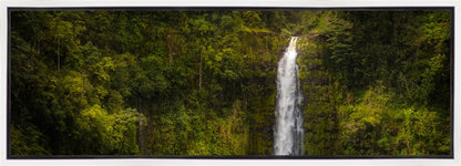 Akaka Falls, Hawaii