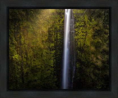 Akaka Falls Aloha