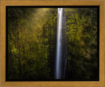 Akaka Falls Aloha