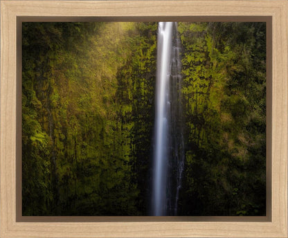 Akaka Falls Aloha