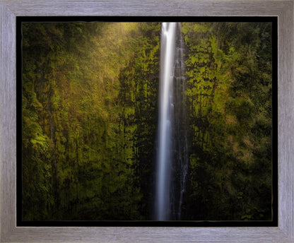 Akaka Falls Aloha