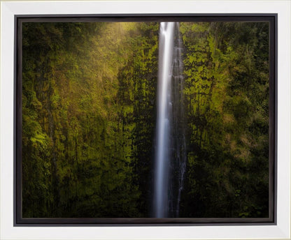 Akaka Falls Aloha