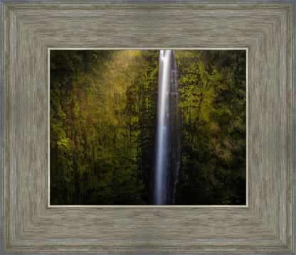 Akaka Falls Aloha