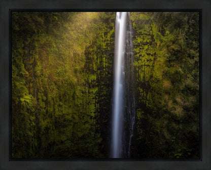 Akaka Falls Aloha