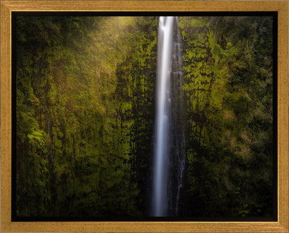 Akaka Falls Aloha
