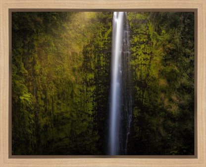 Akaka Falls Aloha