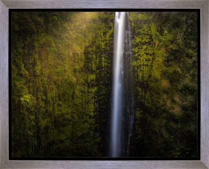 Akaka Falls Aloha
