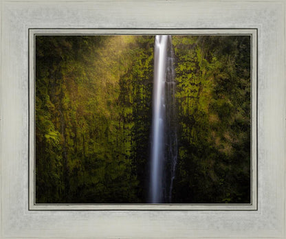 Akaka Falls Aloha