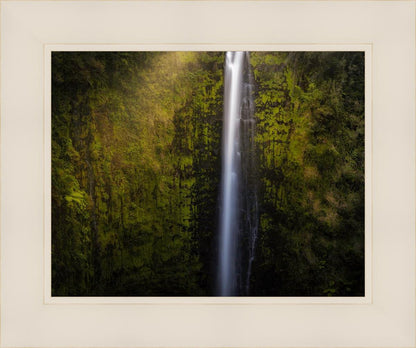 Akaka Falls Aloha