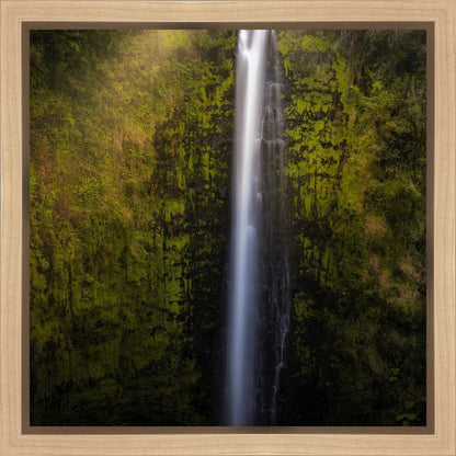Akaka Falls Aloha