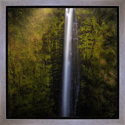 Akaka Falls Aloha