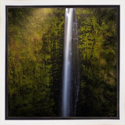 Akaka Falls Aloha