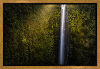 Akaka Falls Aloha