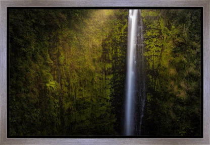 Akaka Falls Aloha