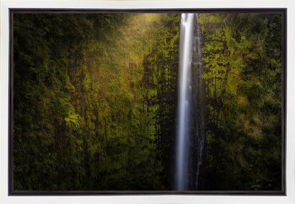 Akaka Falls Aloha