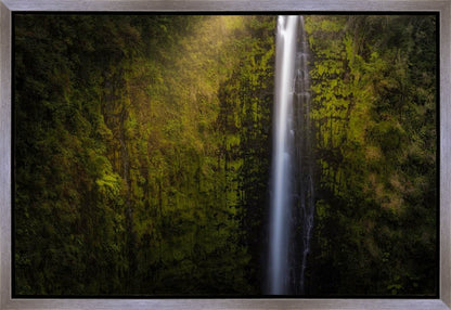 Akaka Falls Aloha