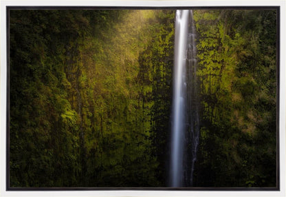 Akaka Falls Aloha