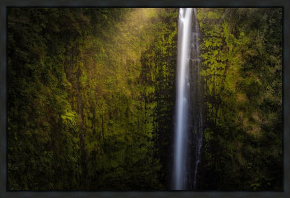 Akaka Falls Aloha