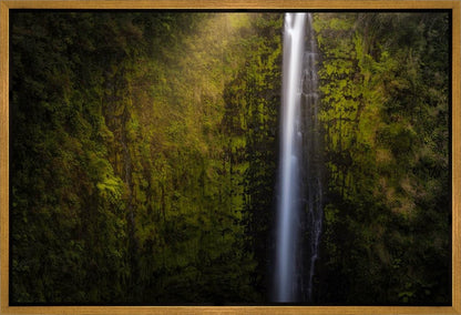 Akaka Falls Aloha
