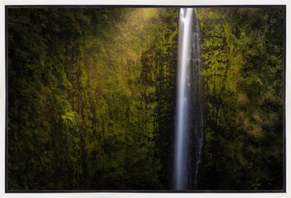 Akaka Falls Aloha