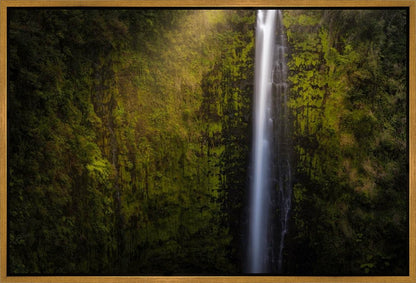 Akaka Falls Aloha
