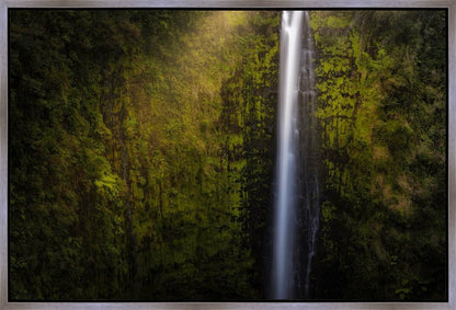 Akaka Falls Aloha
