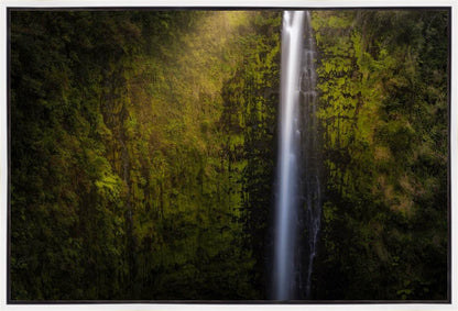 Akaka Falls Aloha