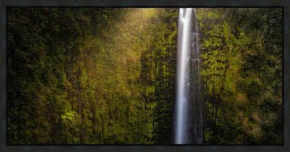 Akaka Falls Aloha