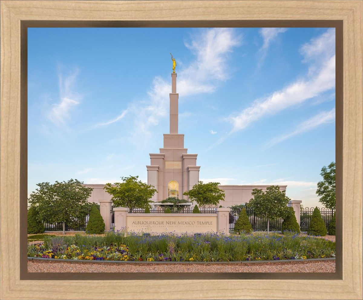 Albuquerque Morning Tranquility