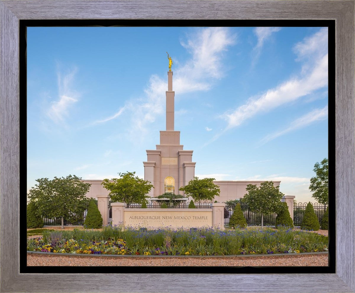 Albuquerque Morning Tranquility