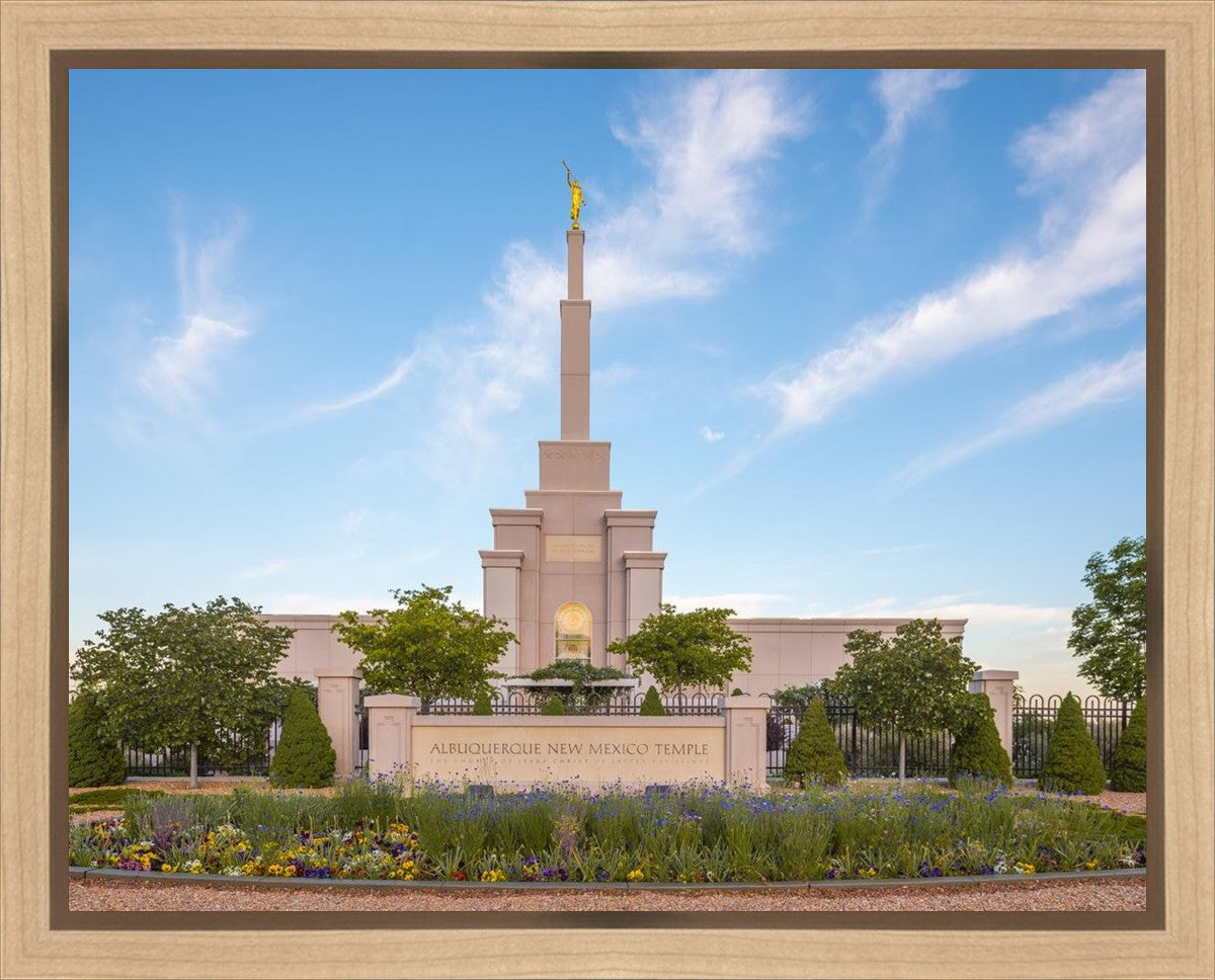 Albuquerque Morning Tranquility