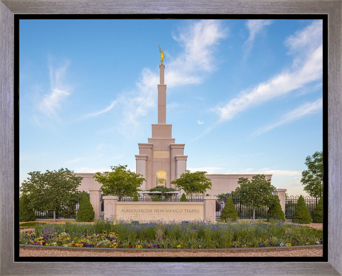 Albuquerque Morning Tranquility