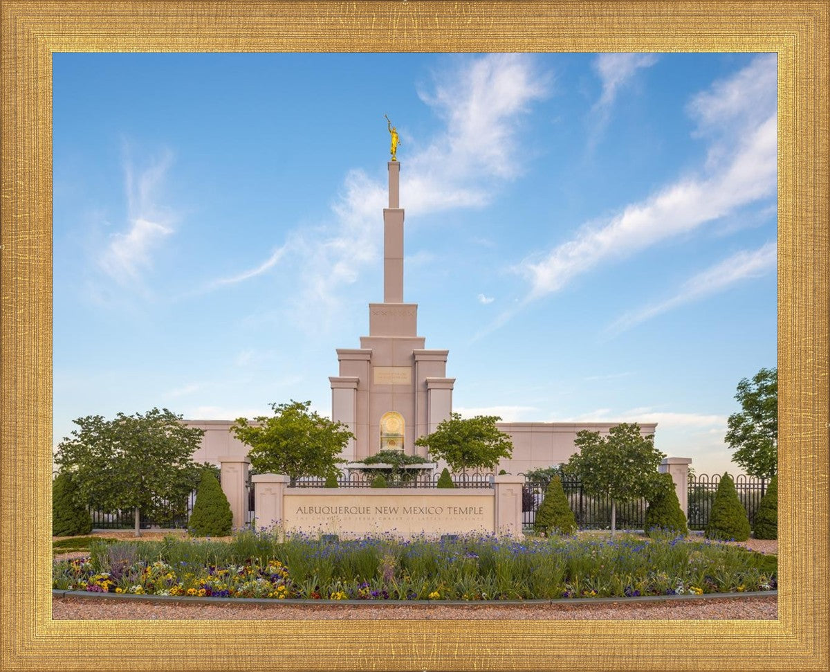 Albuquerque Morning Tranquility