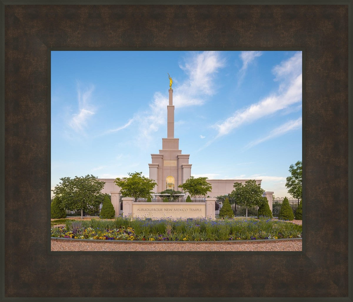 Albuquerque Morning Tranquility