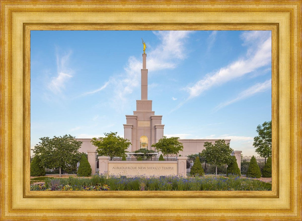 Albuquerque Morning Tranquility