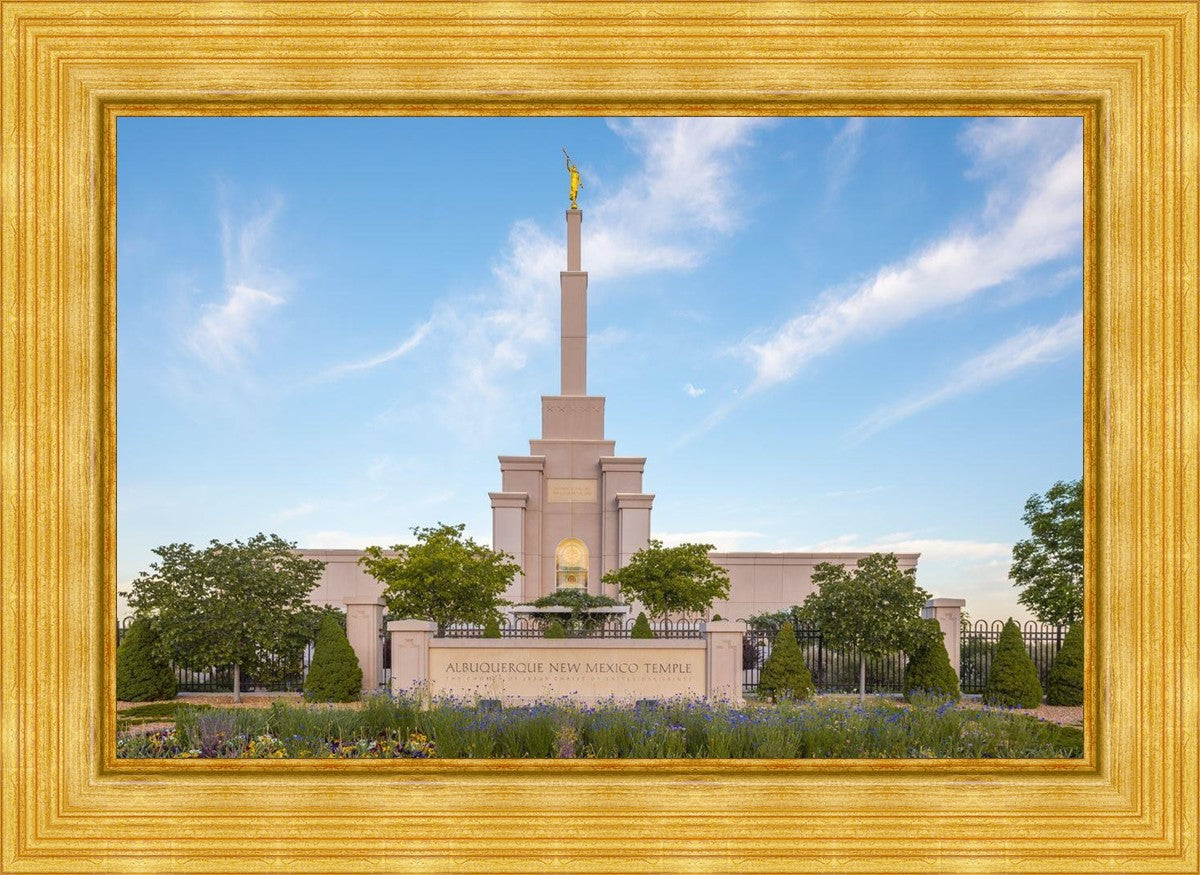 Albuquerque Morning Tranquility