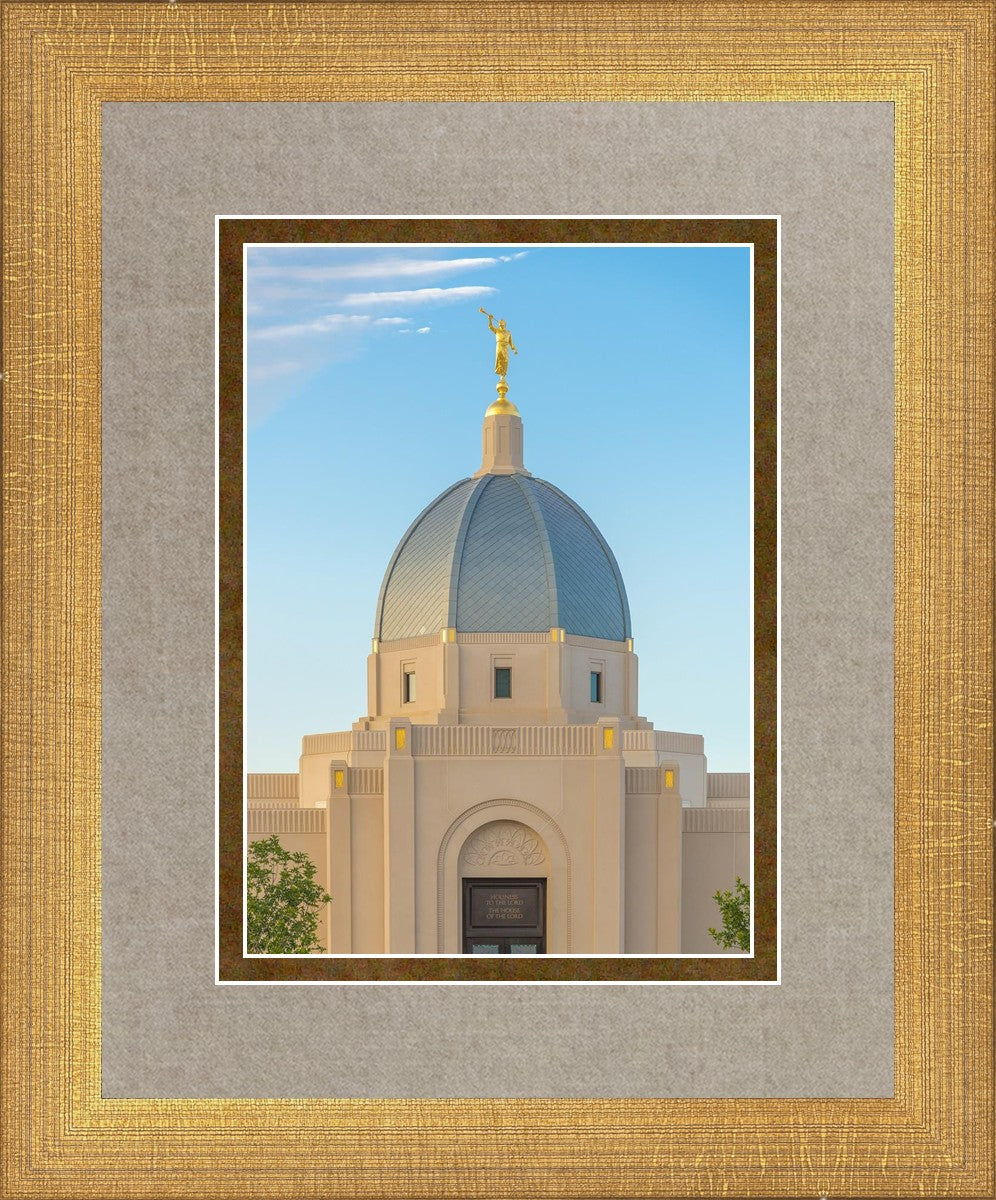 Tucson Morning Glory