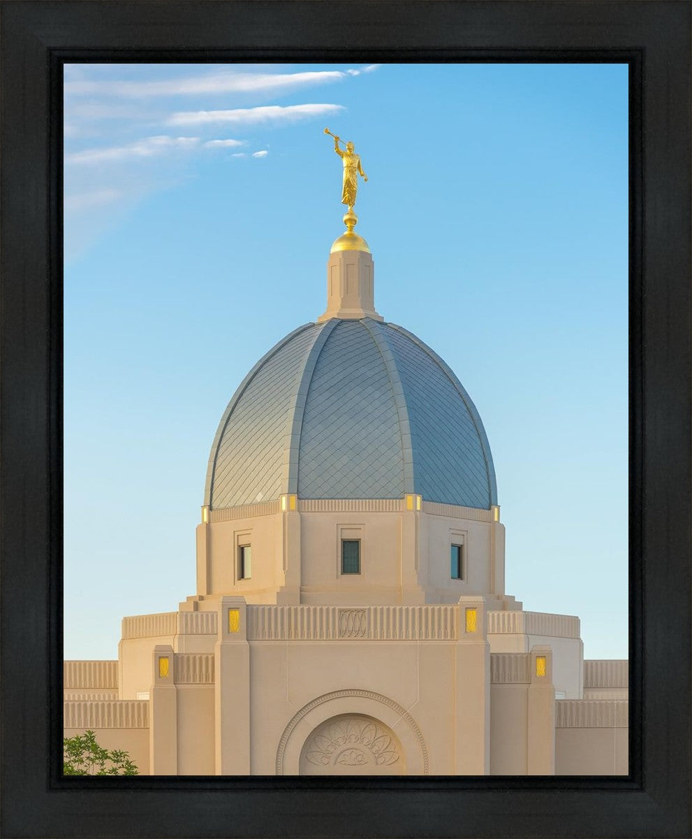 Tucson Morning Glory Gallery Wrap