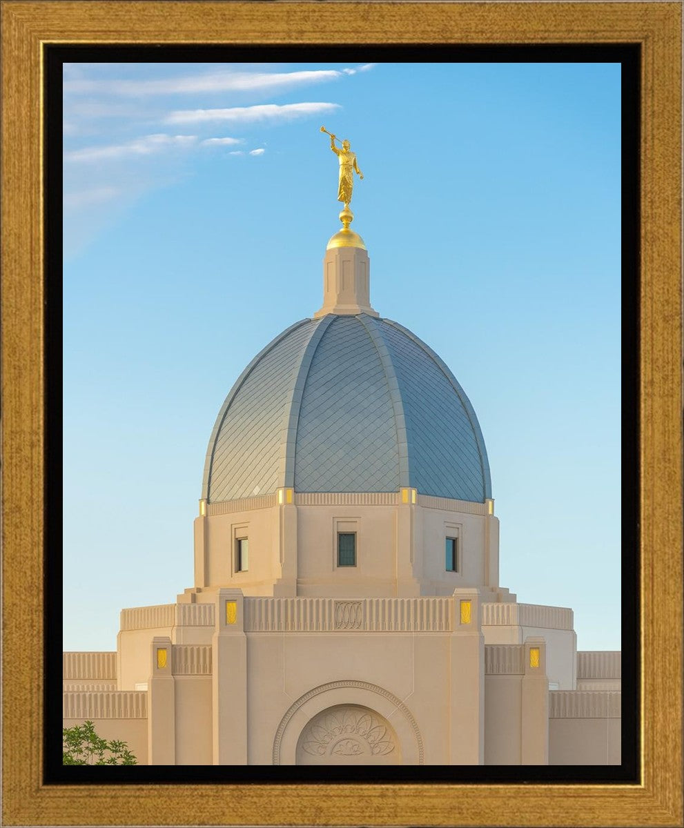 Tucson Morning Glory Gallery Wrap