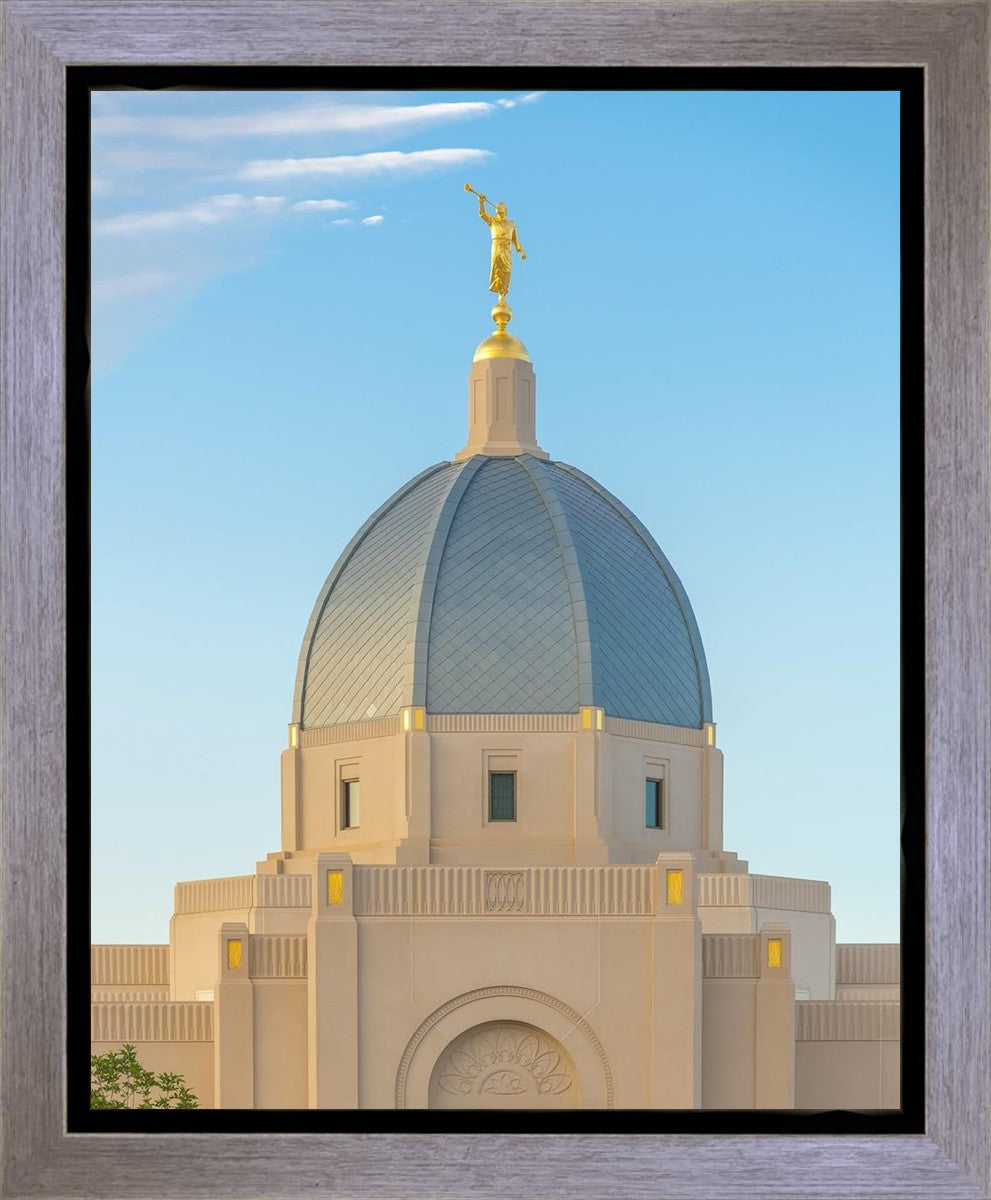 Tucson Morning Glory Gallery Wrap