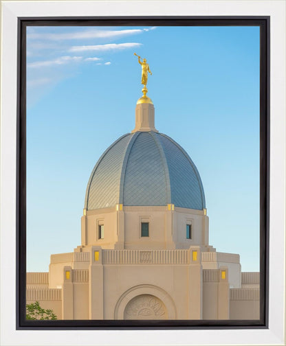 Tucson Morning Glory Gallery Wrap