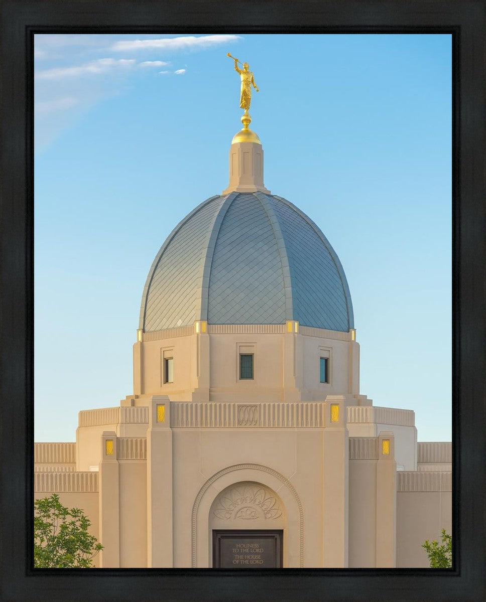 Tucson Morning Glory Gallery Wrap