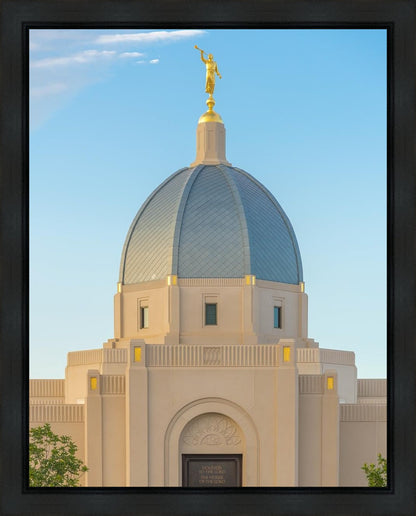 Tucson Morning Glory Gallery Wrap