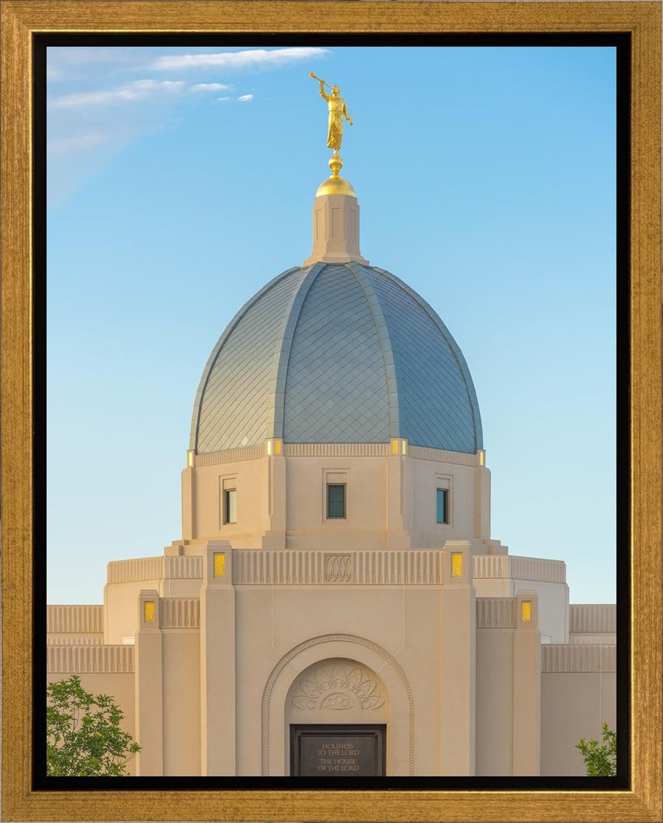 Tucson Morning Glory Gallery Wrap