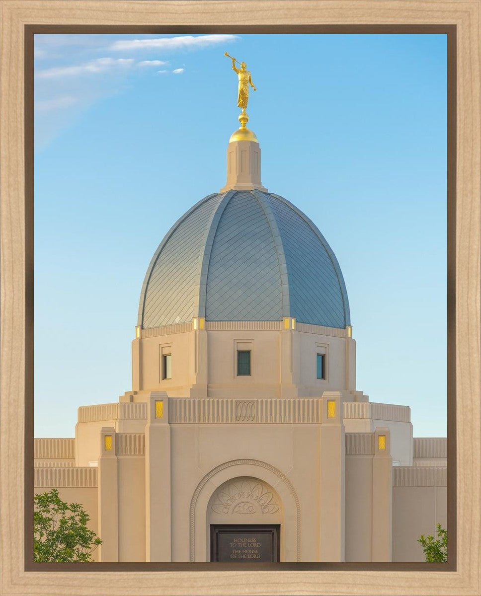 Tucson Morning Glory Gallery Wrap