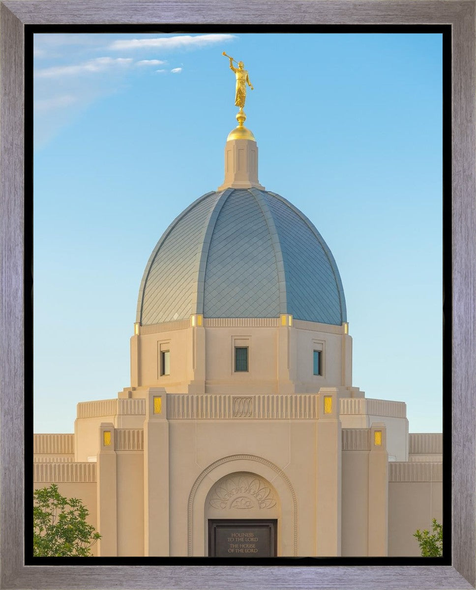 Tucson Morning Glory Gallery Wrap