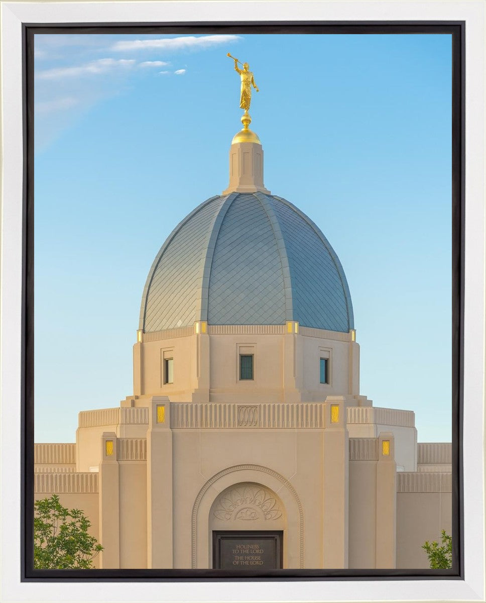 Tucson Morning Glory Gallery Wrap