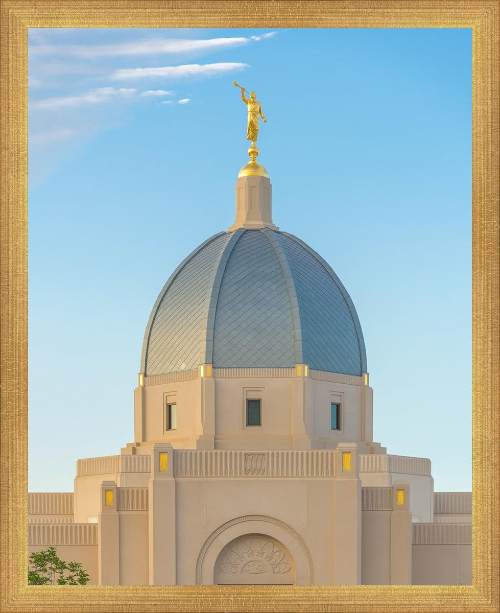 Tucson Morning Glory