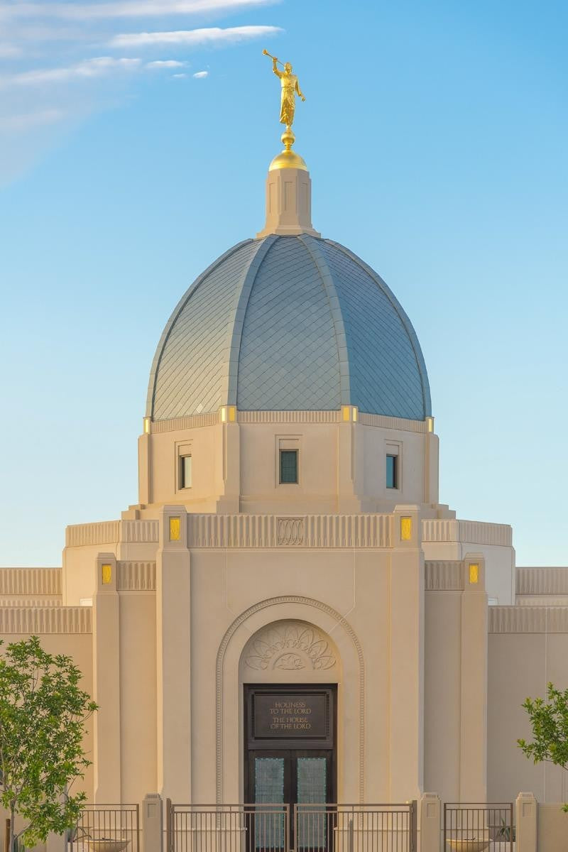 Tucson Morning Glory Gallery Wrap