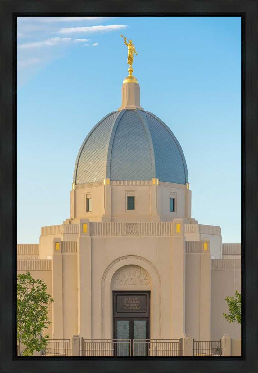 Tucson Morning Glory